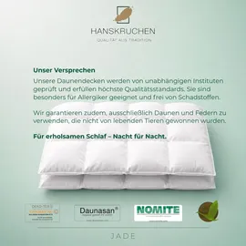HANSKRUCHEN GmbH Hanskruchen, Jade (910 g, Daune, 155 x 220 cm)