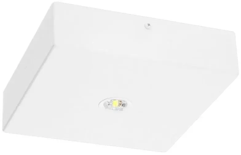Fischer LED-Sicherheitsleuchte BQD815M.V2