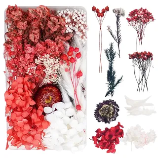 Trockenblumen zum Basteln Trockenblumen Deko Trockenblumen Klein Getrocknete Blumen Deko Trockenblumen Basteln Trockenblumen Set für DIY Basteln Handwerk Epoxidharz Scrapbooking Dekoration(Rot)C-047F