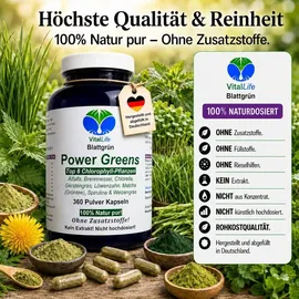 VitalLife Green Power Greens Top8 Chlorophyll Supergreens Kapseln 360 St.
