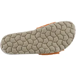 Verbenas Rocio Roda orange 37