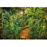 KOMAR Fototapete Jungle Trail 368 x 254 cm