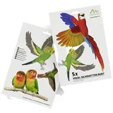 Gardigo Stickers Native Birds Fensteraufkleber Vogelbild Funktionsart Abschreckung 1St.