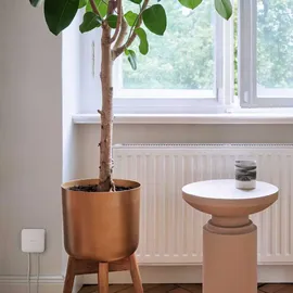 Bosch Starter Set Heiztherme und Fußbodenheizung II mit 1 Raumthermostat 230V