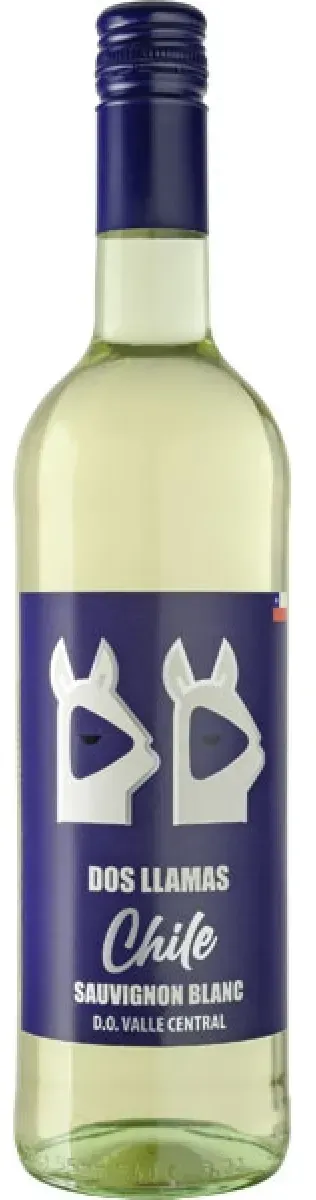 Dos Llamas Sauvignon Blanc Weißwein trocken 0,75 l | 2022