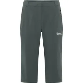 Jack Wolfskin Hikeout 3/4-Hosen Slate Green 38