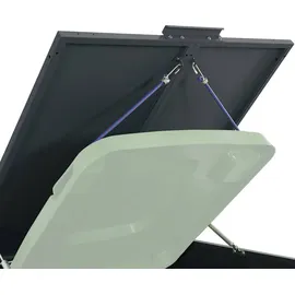 vidaXL Mülltonnenbox 276 x 79 x 117 cm anthrazit