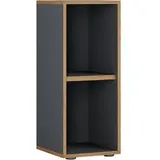 VCM Salia Aktenschrank 30 x 33 x 74 cm anthrazit