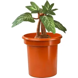 The Noble Collection Noble Collection Harry Potter Ferngesteuerte Alraune