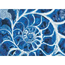 Diamond Dotz Diamond Painting Blaue Nautilus