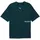 Puma Graphic Oversize Tee Grün M