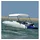vidaXL Sonnenschutz 2-Bow Bimini Top 180 x 130 x 110 cm Weiß