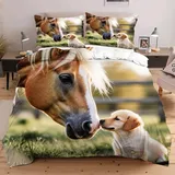 Nuphtun Premium 3D-Bettwäsche Set Pferd Hund, Einzelgröße 135x200 cm inkl. 2 Kissenbezügen | Atmungsaktiv, Hautfreundlich, Formbeständig | Einfache Pflege, Schnelltrocknend B188