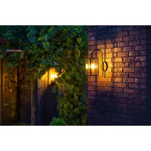Garden Lights Wandleuchte Columba Aluminium spritzwassergeschützt 280 lm schwarz