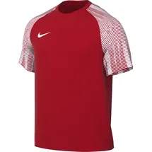 Nike Dri-Fit Academy Herren Fußballtrikot