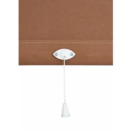 SUNLINES Springrollo Uni 182 x 180 cm braun