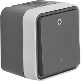Berker Ausschalter 2-polig mit Aufdruck 0 und 1, W.1 grau/lichtgrau matt