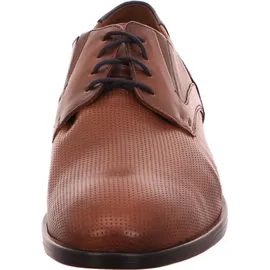 LLOYD Kelsan braun 42,5