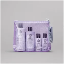 Maria Nila Sheer Silver Beauty Bag