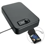 SAFE Schwäbische Albumfab Auto Tresor