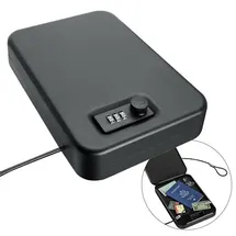 SAFE Schwäbische Albumfab Auto Tresor