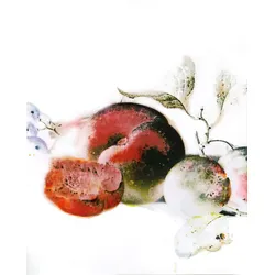 Bild KOMAR "Dessert Fruité", rot (farbe bild(er): rot), B:40cm H:50cm, Papier, Holz, Bilder, Wandbild zur Dekoration - ohne Rahmen
