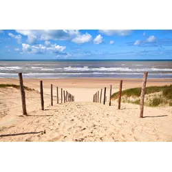 Fototapete PAPERMOON "DÜNEN-NATUR LANDSCHAFT STRAND MEER SEE KÜSTE OZEAN XXL", bunt, B:2,50m L:1,86m, Vlies, Tapeten