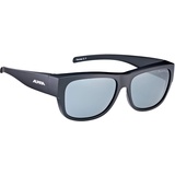 Overview black matt/polarisation mirror black A8574531