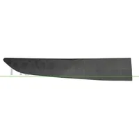 PRASCO Zier-/Schutzleiste, Tür FD6401453