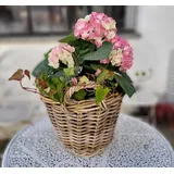 Korb Rattankorb Füllkorb Rattan geflochten rund 35x25cm Koobo Grey Landhauswelt
