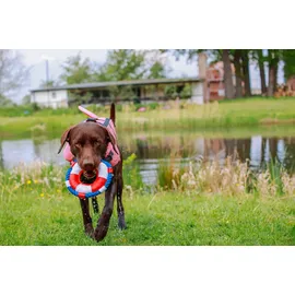 Nobby Hunde Schwimmweste Sharki mit Haiflosse pink