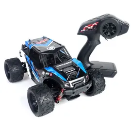 ES-Toys RC-Buggy Thunder 312 2,4GHz RTR blau