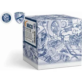 VAICO Kettensatz, Ölpumpenantrieb V10-5855 für VW Golf VI (5K1)