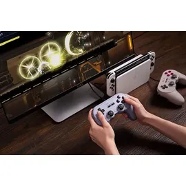 8bitdo Pro 2 Controller Grau für Switch / PC
