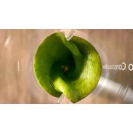 Philips Eco Conscious Collection HR2500/00 Standmixer