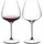 riedel the wine glass company Grape Rotweinglas 0,75 l 2er Set