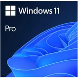 Microsoft Windows 11 Pro DVD IT