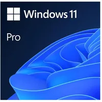 Microsoft Windows 11 Pro DVD IT