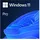 Microsoft Windows 11 Pro DVD IT