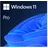 Microsoft Windows 11 Pro DVD IT