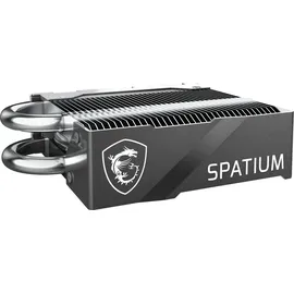 MSI SPATIUM M570 PRO FROZR 2TB M.2 2280 / M-Key / PCIe 5.0 NVMe 2 TB, M.2, 12400 MB/s