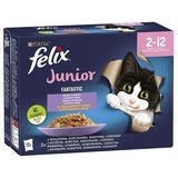 Felix Purina Katzenfutter Huhn Lachs Rind 12 x 85g