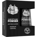 The Shave Factory Haarstyling-Puder – mattierend und voluminös für unvergleichliche Textur, Volumen und mattes Finish – perfekt für jeden Look und Haartyp (20 g (1er Pack), Classic)