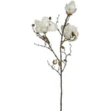 OEM Mica Künstliche Magnolia Weiß, 88 Cm Kunstpflanzen