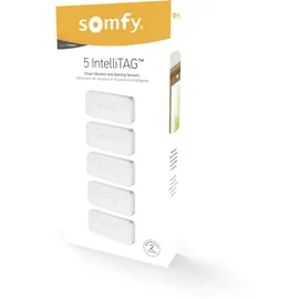 SOMFY Funk-Sensor Set 2401488 (VE5)