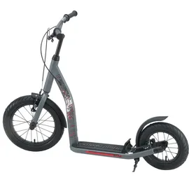 tretroller-laden Star-Scooter Cityroller 16 Zoll Grau