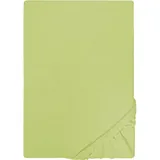 Castell Spannbettlaken Jersey 180 x 200 - 200 x 200 cm pistaziengrün