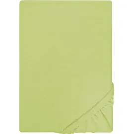 Castell Spannbettlaken Jersey 180 x 200 - 200 x 200 cm pistaziengrün