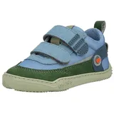 qnuffs Erle Blau 23