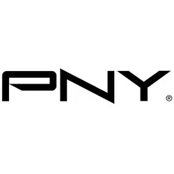 PNY Display-Adapter - Dual Link - DisplayPort (M)